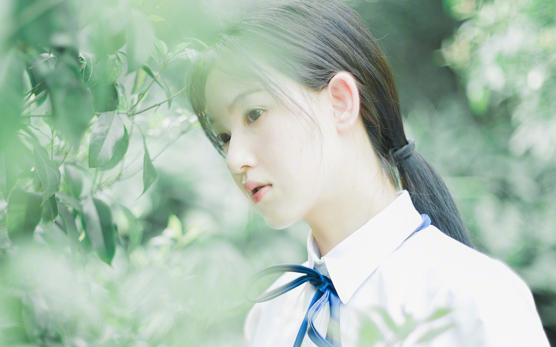 随机最受欢迎的赛道top10榜单出炉，最火赛道