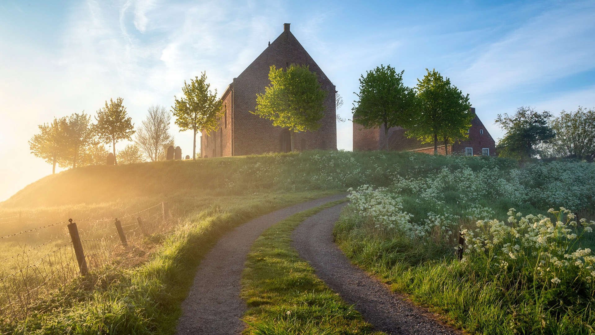 随机法国马术协会成功举办巴黎奥运会马术赛事，吸引全球目光。，法国马术协会ffe