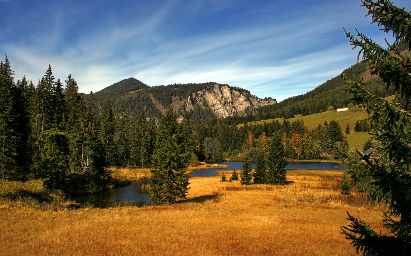 随机詹姆斯在对阵快船的比赛中砍下52分，带队在末节完成惊天逆转！，詹姆斯快攻得分排行