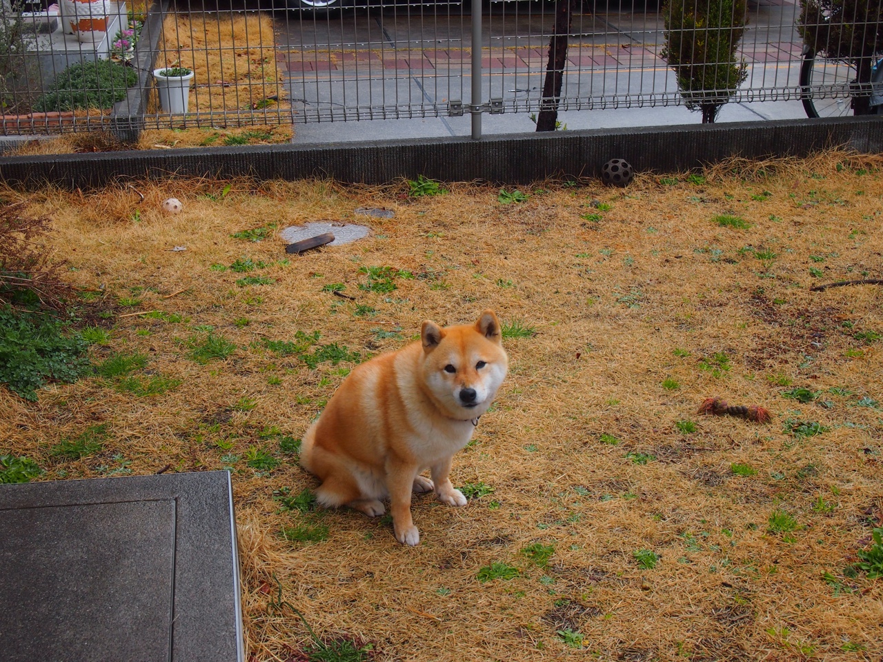 随机运动员的赛前准备：“状态调整”全纪录，运动员赛前做什么