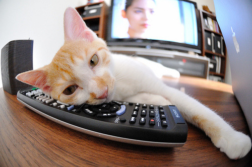 随机CBA球队防守战术体系优化，cba球队防守效率排名