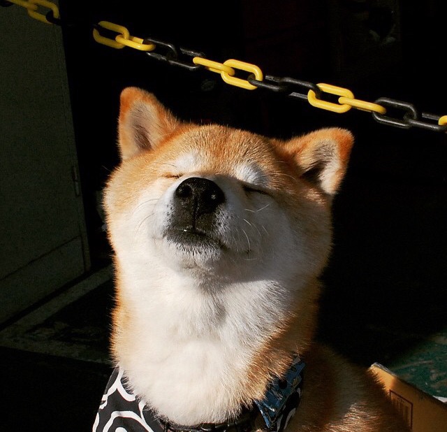 随机女足教练团队持续优化，女足 教练