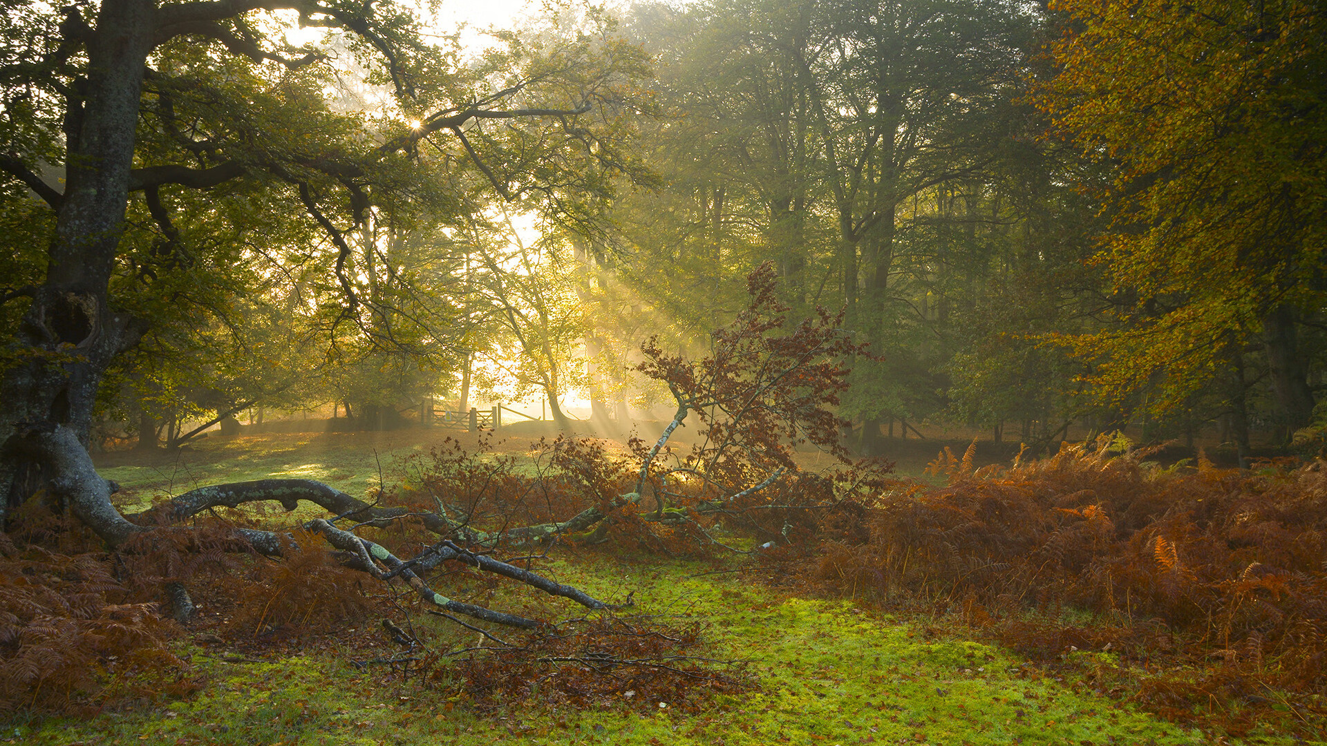 爱游戏官网-国足年度核心战术执行人次统计表，国足阵容战术