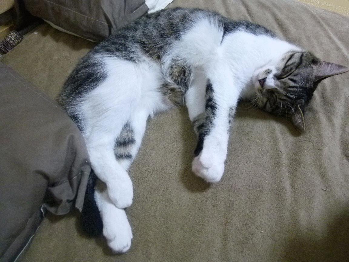 AYX SPORTS-西甲裁判吹罚尺度变化对比赛节奏的微观影响研究，裁判吹技术犯规