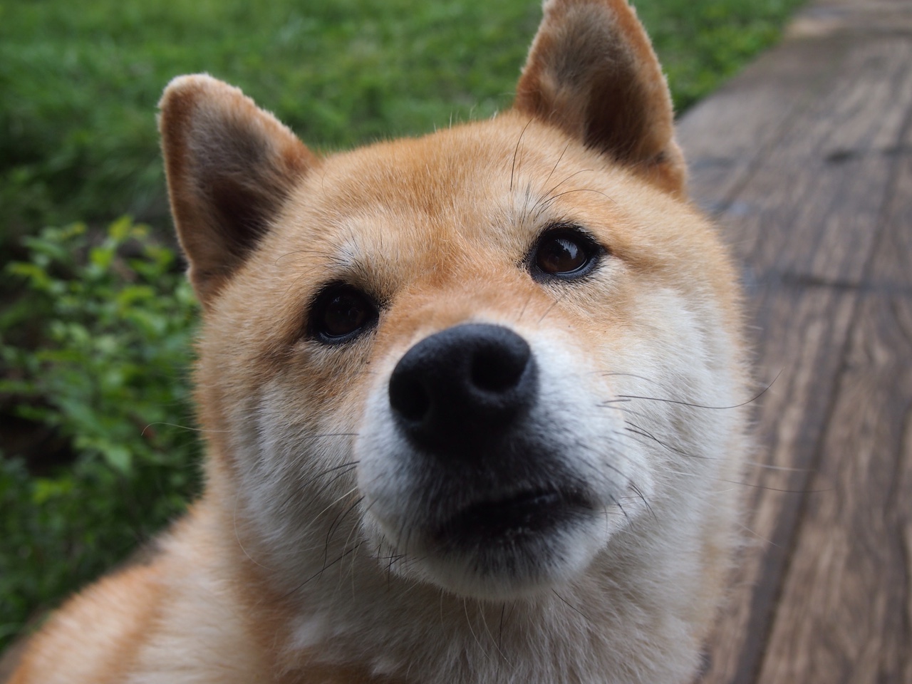 AYX体育官网-职业拳击赛事落地中国 首场门票火爆售罄，中国拳击业余比赛