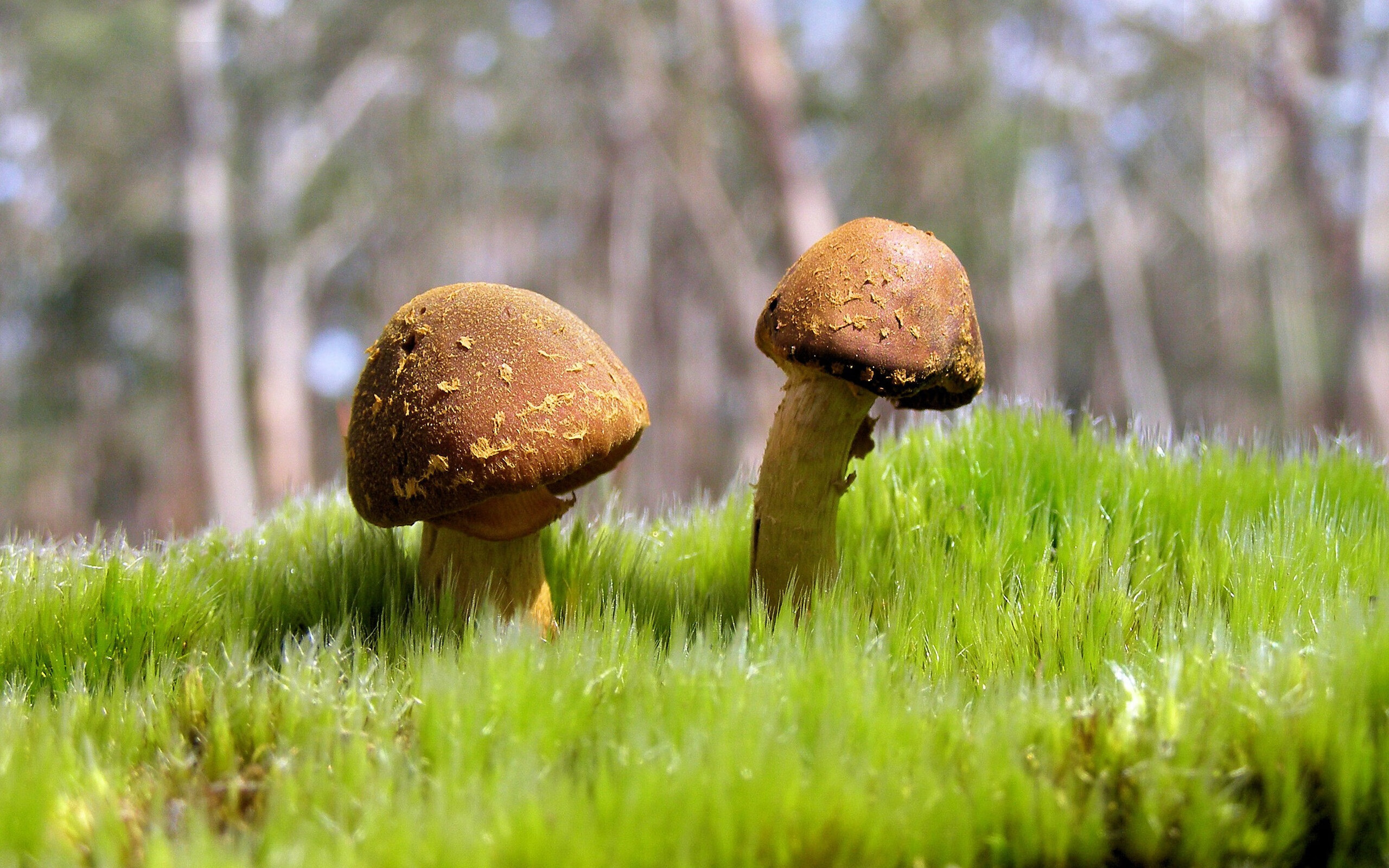 爱游戏娱乐-明星球员跨国转会频繁，国际市场竞争激烈，球星转会是什么意思